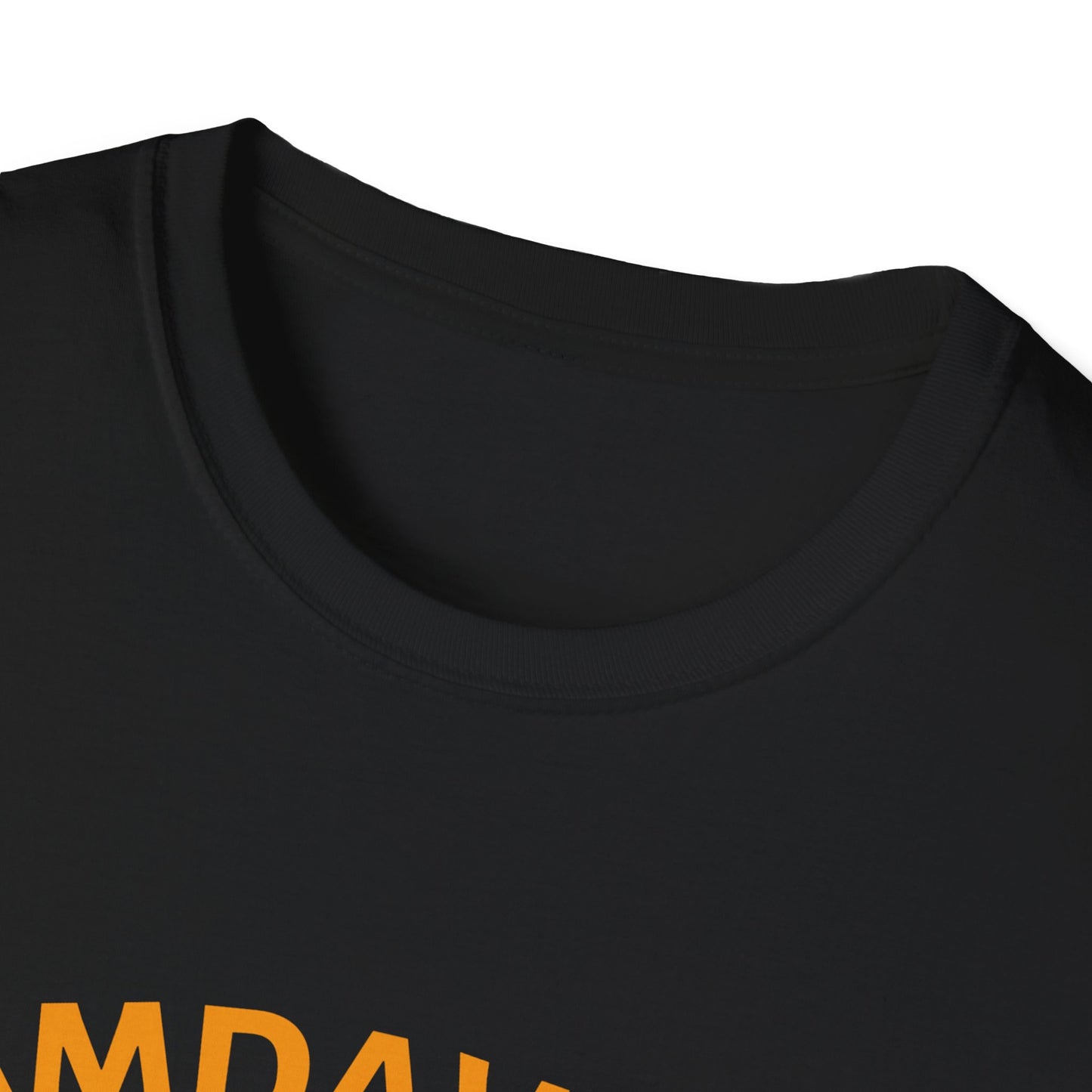 Amdavadi T-Shirt – Unisex t-shirt Celebrating Ahmedabad's Spirit